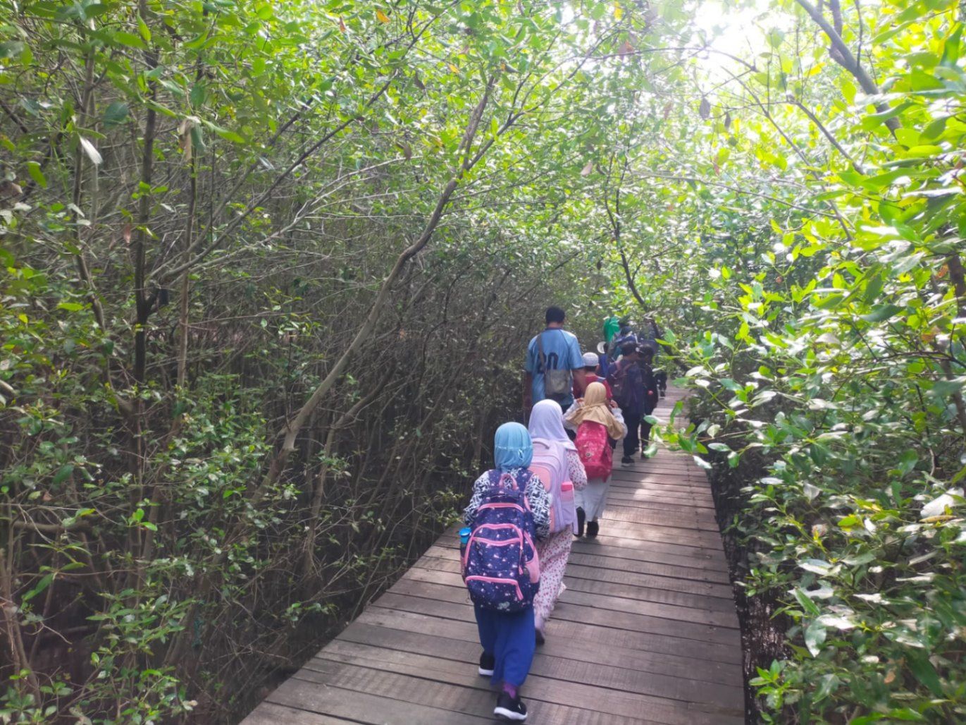 Hingga Pertengahan Tahun 2024, Pengunjung Kebun Raya Mangrove Surabaya Tembus 43 Ribu Orang