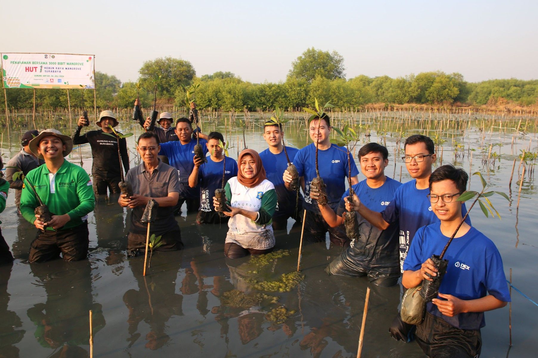 Penanaman 3000 Bibit Mangrove Tandai Peringatan HUT ke-1 KRM Surabaya