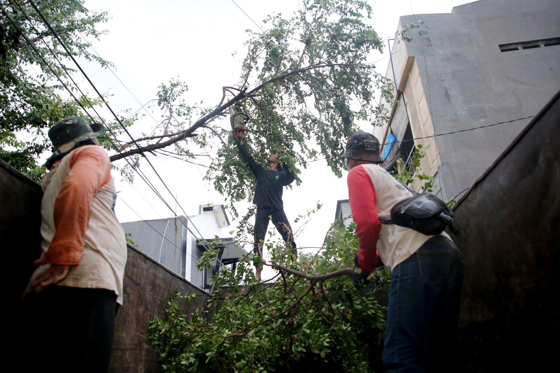 Wali Kota Eri Cahyadi Gerak Cepat Bantu Warga Manyar Tegal Terdampak Angin Puting Beliung
