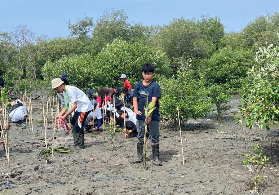 Lindungi Pesisir dari Abrasi dan Risiko Banjir, Siswa SMPN 1 Surabaya Tanam 18.200 Mangrove