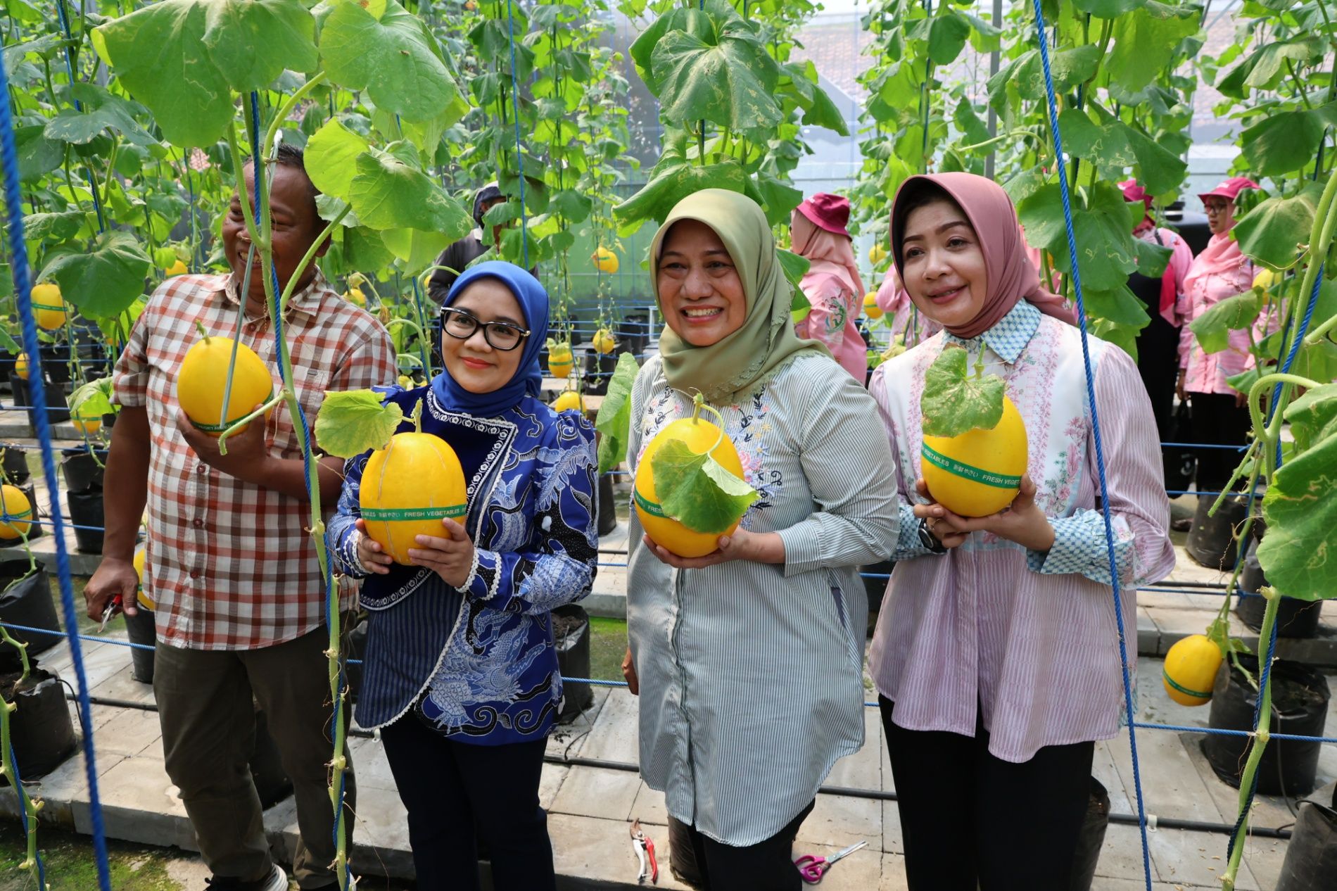 Urban Farming Competition 2025, Rini Eri Cahyadi: Hasilnya dijual di Hotel dan Rumah Makan