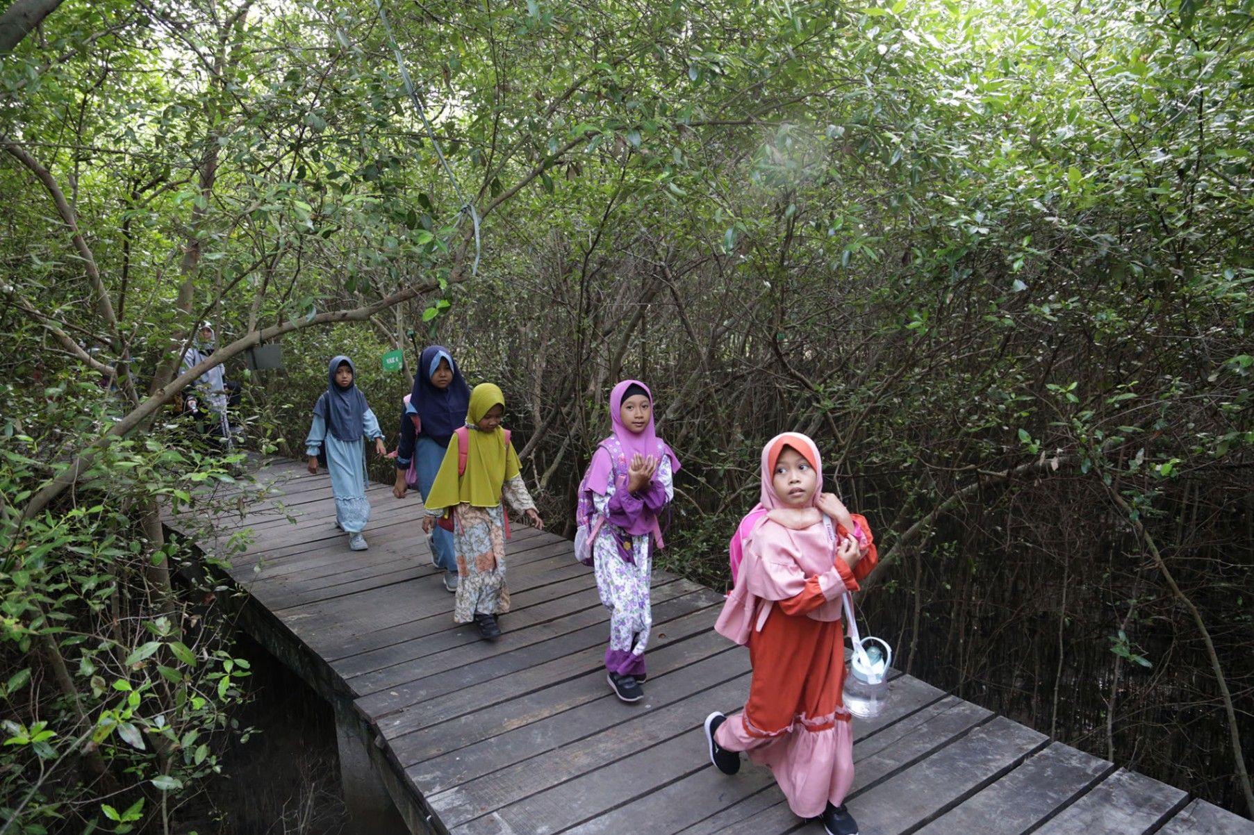 Tren Wisata Edukasi Naik, Kebun Raya Mangrove Surabaya Catat 86 Ribu Pengunjung