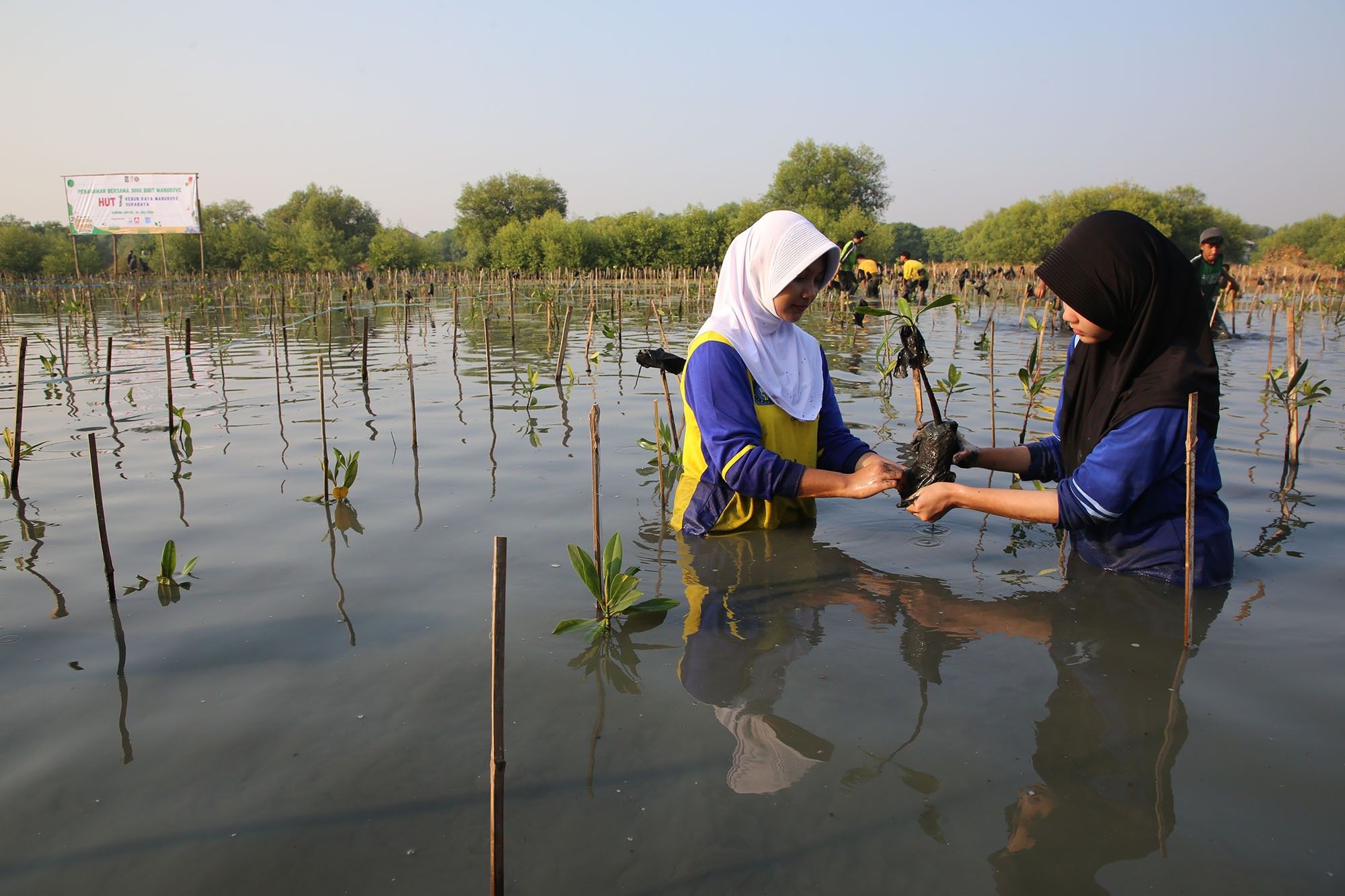 Sering Disamakan Ekowisata Mangrove Komersial, Ternyata KRM Surabaya Punya Mandat Khusus