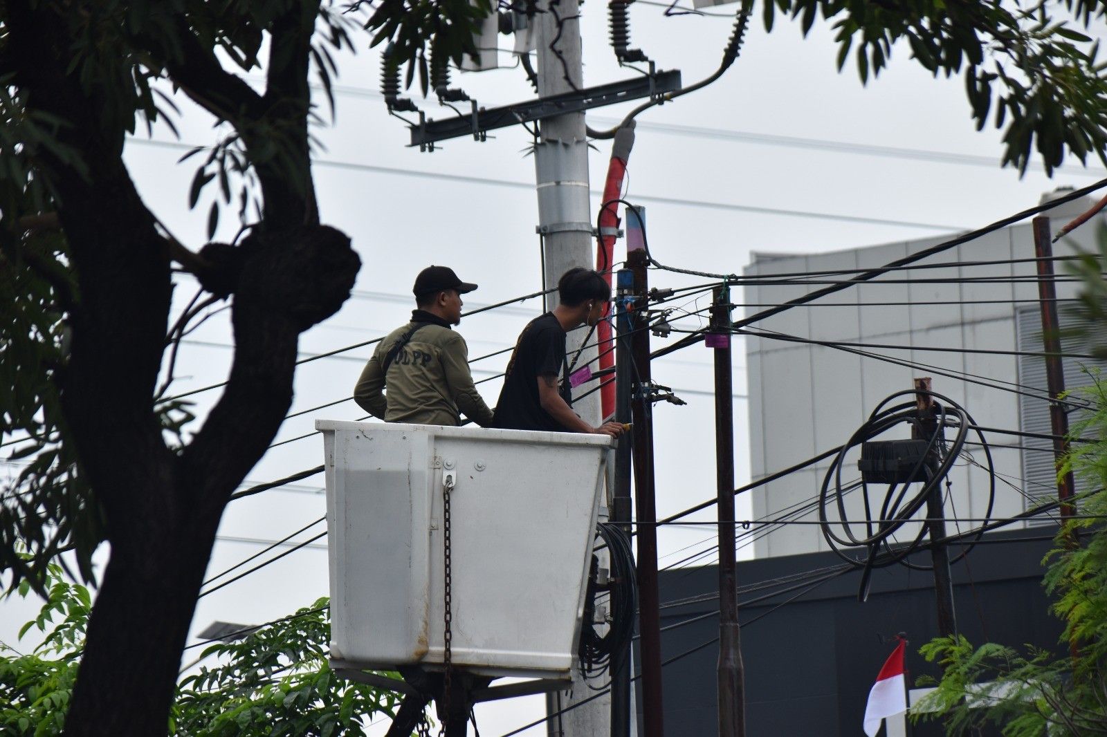 Satpol PP Surabaya Tertibkan 18 Tiang Kabel Fiber Optik Tak Berizin di Jalan Panjang Jiwo
