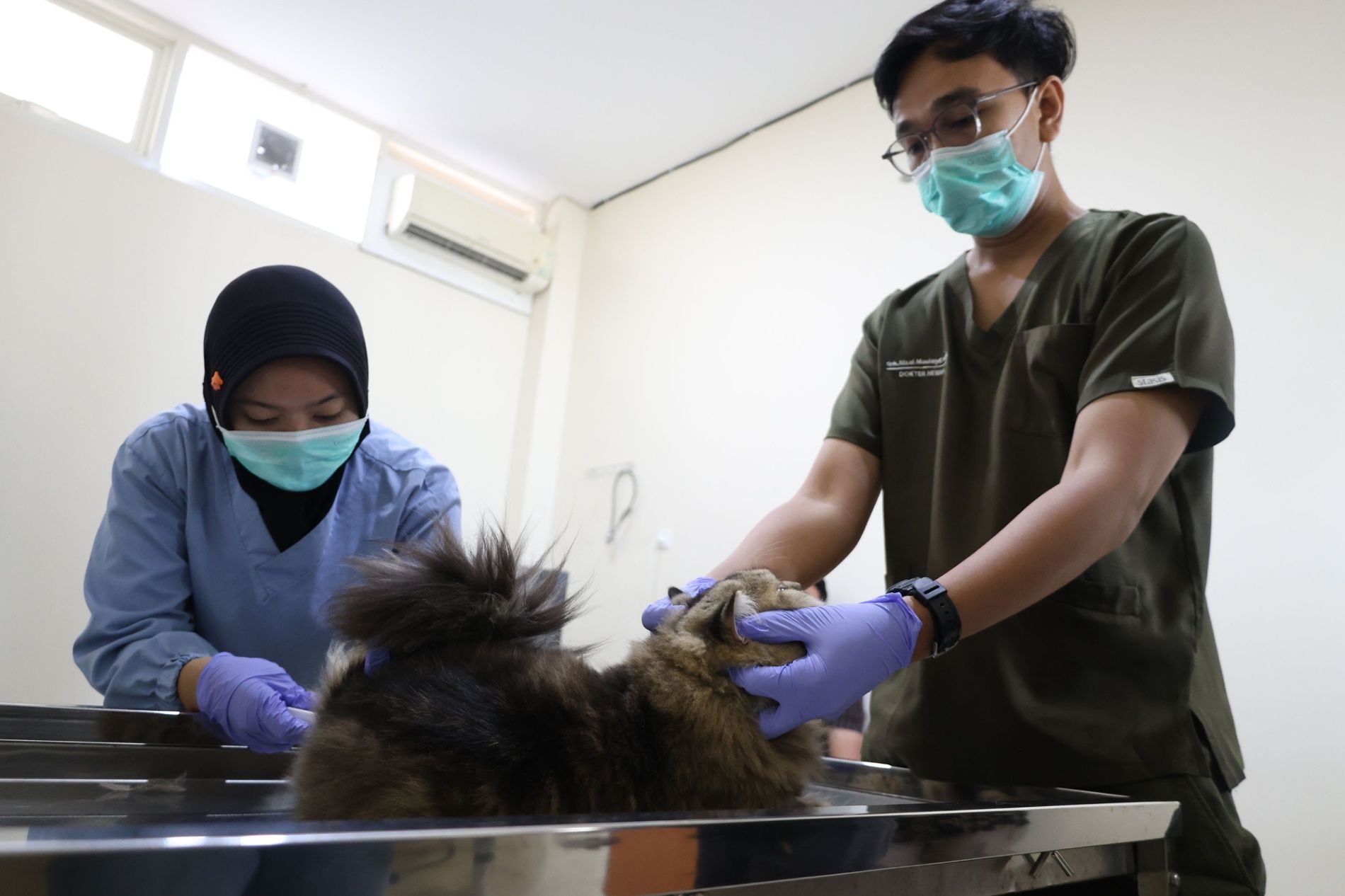 Mudik Tenang, Pemkot Surabaya Buka Layanan Titip Hewan Peliharaan di Puskeswan