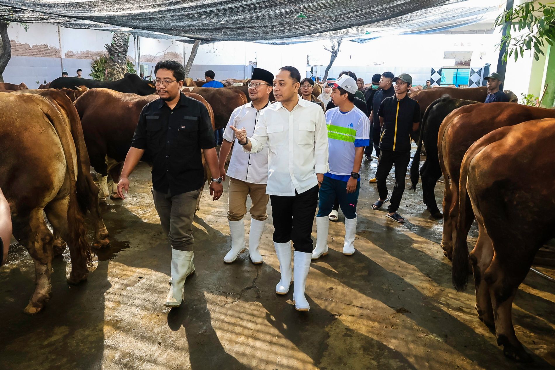 Wali Kota Eri Terbitkan SE Idul Adha 2026, Hewan Kurban Masuk Surabaya Wajib Vaksin PMK dan Kantongi SKKH 