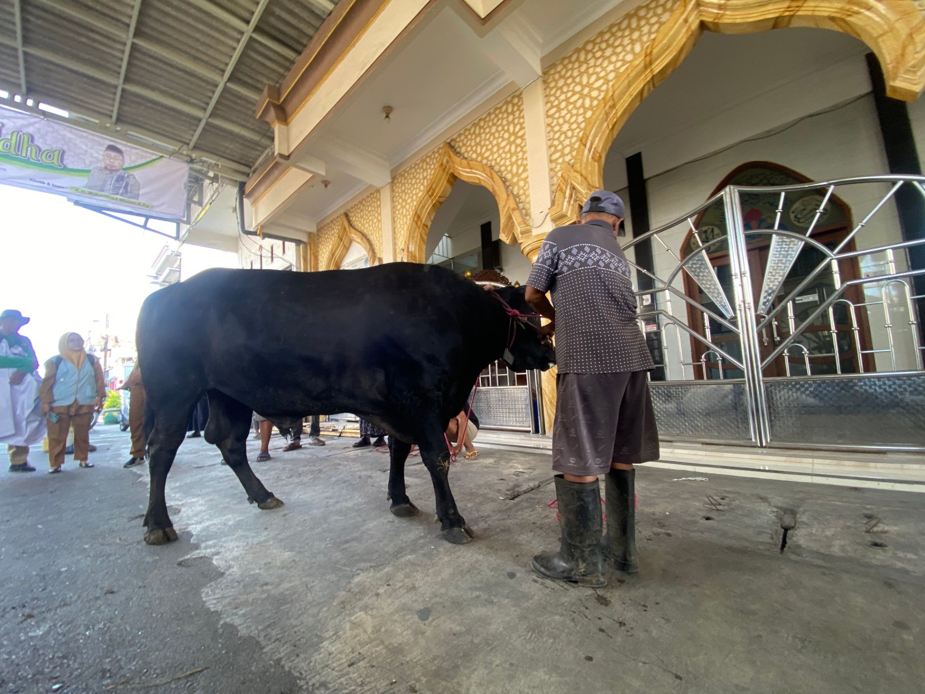 Pemkot Surabaya Salurkan Sapi Kurban Banpres 850 Kilogram ke Masjid Al Ikhsan