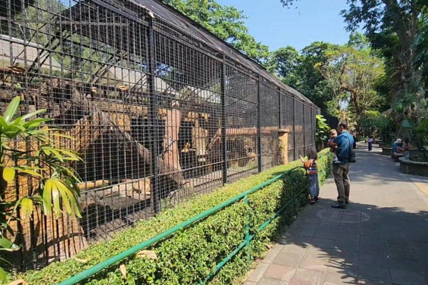 KBS Pastikan Seluruh Satwa Sehat, Perawatan Mengacu Prinsip Animal Welfare