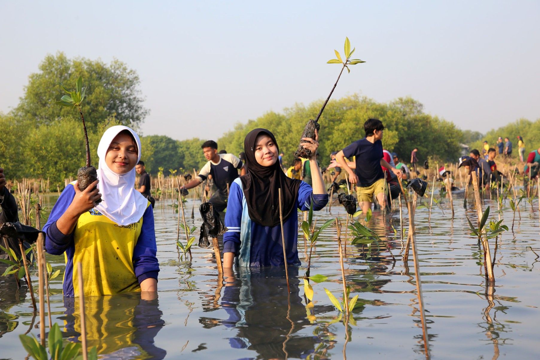 Perkuat Fungsi Riset, BRIDA Surabaya Targetkan KRM Gunung Anyar Miliki 100 Jenis Mangrove