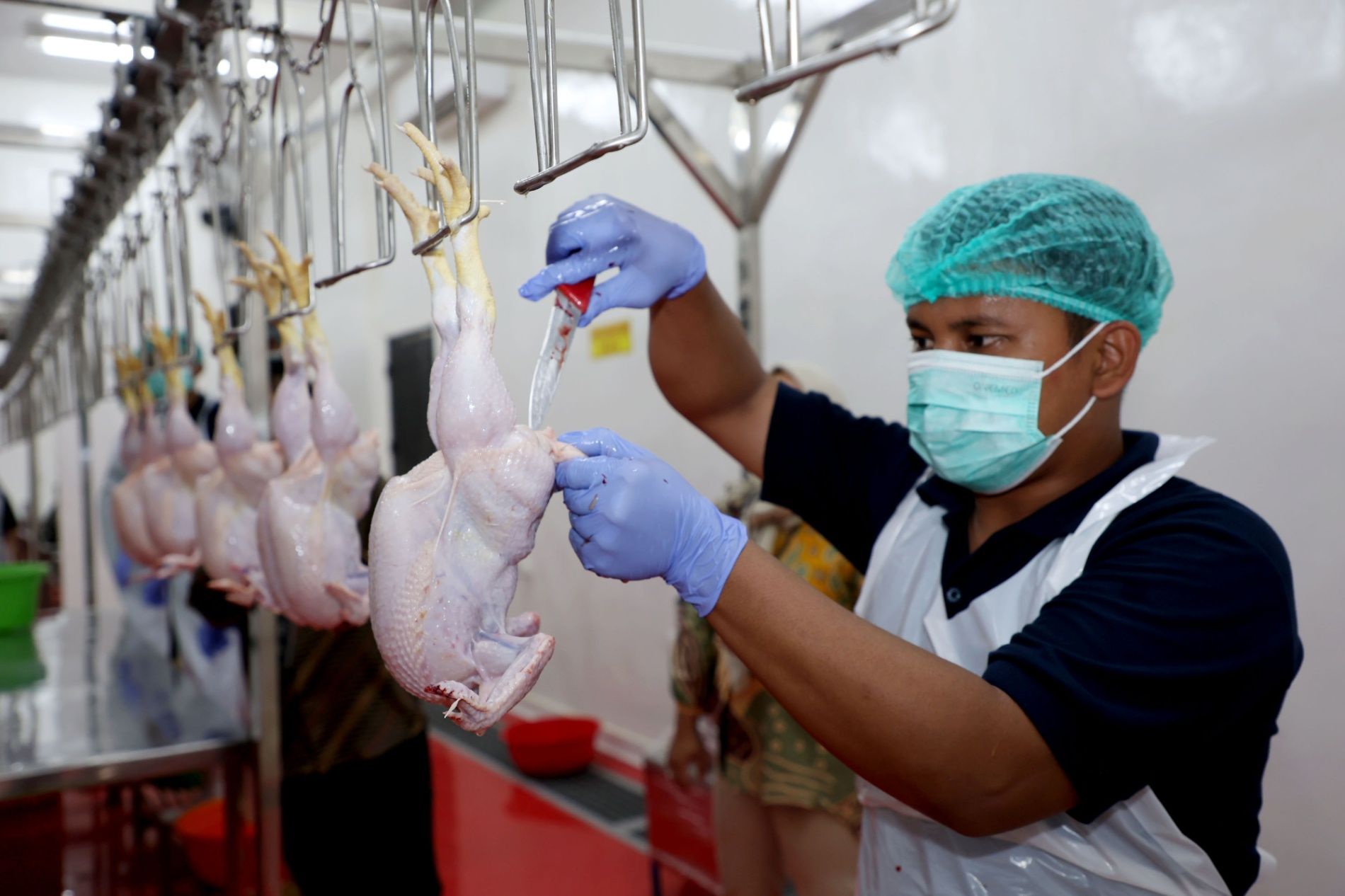 RPH Unggas Lakarsantri Surabaya Siap Fasilitasi Pelaku Usaha Pemotongan Ayam di Bratang