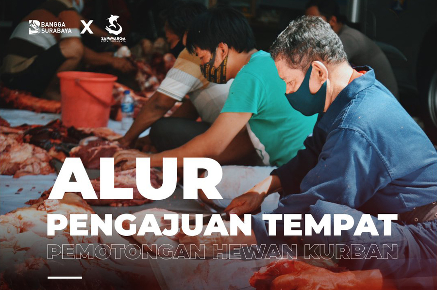 Alur Pengajuan Tempat Pemotongan Hewan Qurban
