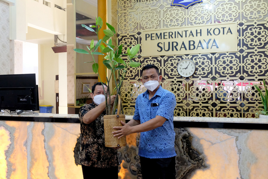 Dukung Konservasi Lingkungan, Pemkot Surabaya Terima 5000 Bibit Mangrove