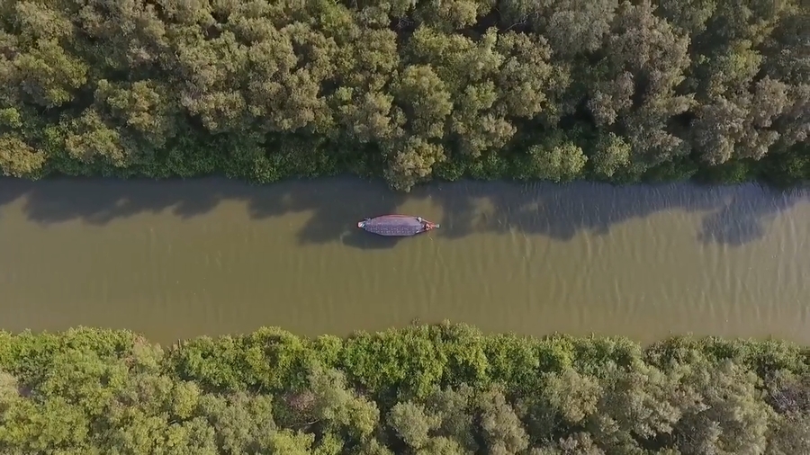 Sungai Mangrove Wonorejo Menyempit, Nelayan Dukung Pemkot Surabaya Lakukan Normalisasi