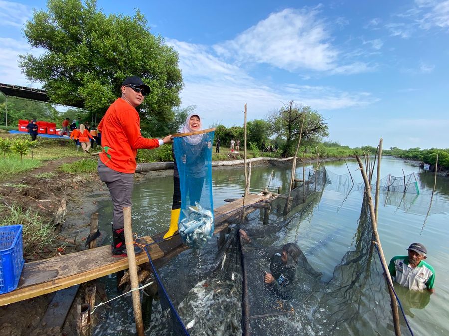 Panen Ikan Bandeng 588 Kg, DKPP Surabaya Bagikan ke Warga untuk Penanganan Stunting
